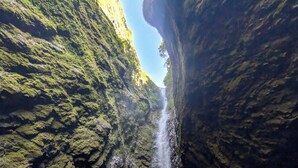 Una cascada en un cañón estrecho con paredes rocosas y una poza en la base.