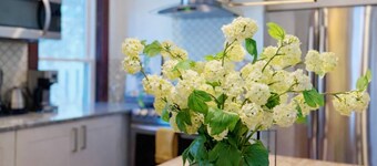 Boutique Porter Square home / 1 stop from Harvard