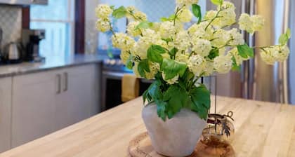 Boutique Porter Square home / 1 stop from Harvard