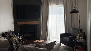 TV, fireplace, books