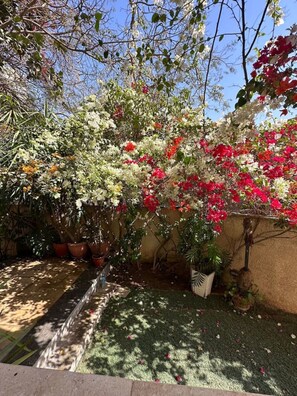 Property grounds - Elegant 2BR Heliopolis Suite | Private Garden Terrace & A/C (Heliopolis)