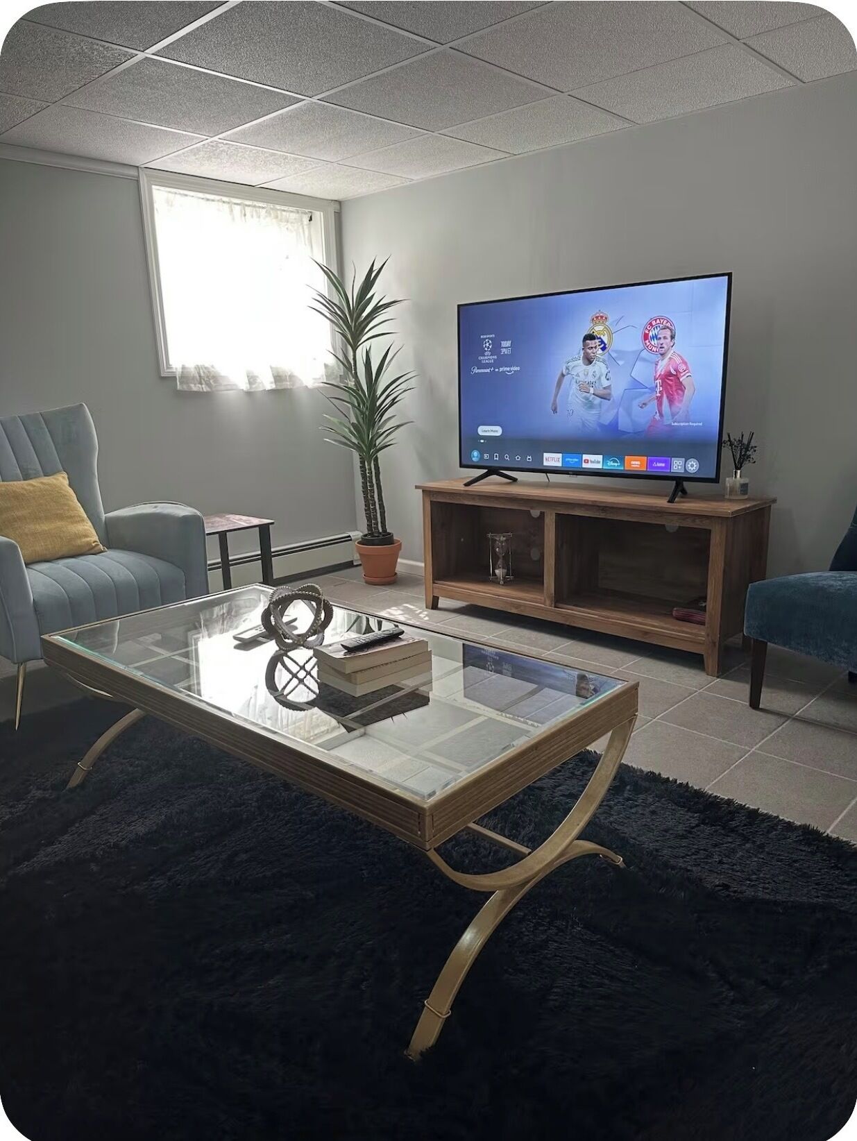 Un salon avec une table basse en verre, un téléviseur, une plante en pot et deux fauteuils.