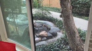 Habitación con un ventanal grande que da a un jardín con rocas y follaje. Hay una silla roja y una mesita con una botella y un teléfono.