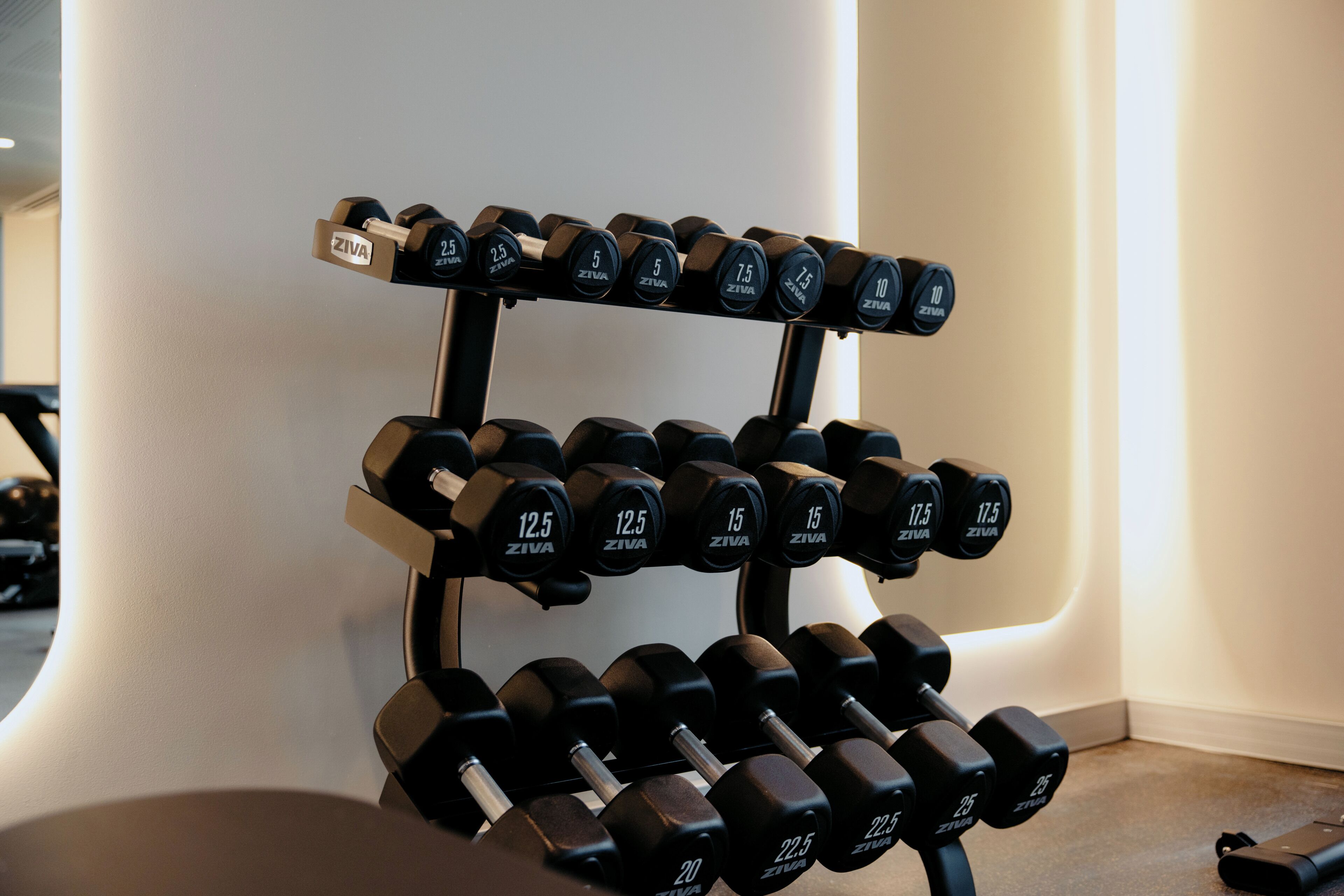 A set of adjustable dumbbells with weight markings, arranged on a rack.