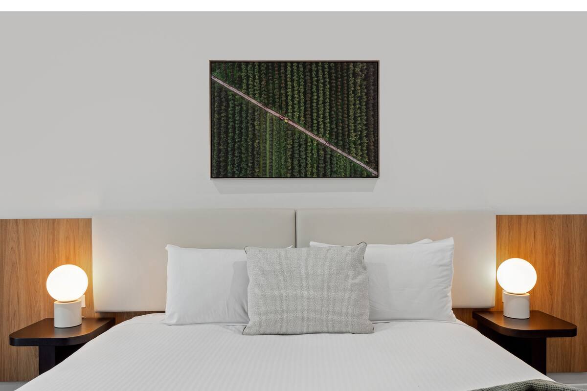 One Bedroom Apartment