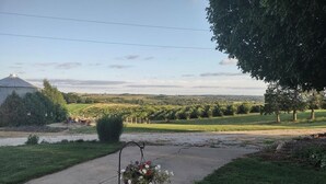 A residential driveway with a hanging flower basket, a large tree, and a distant view of a field and a silo. - Valley View Bed and Breakfast (Kiron)