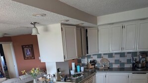 A kitchen with white cabinets, a stainless steel dishwasher, a tiled backsplash, and a red rug. - Valley View Bed and Breakfast (Kiron)