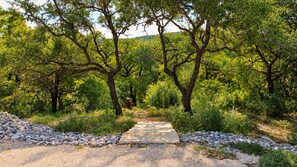 A pathway leading through a natural area with trees and a gravel path. - Newly renovated rustic home with deck by Horseshoe and Tubing (Canyon Lake)