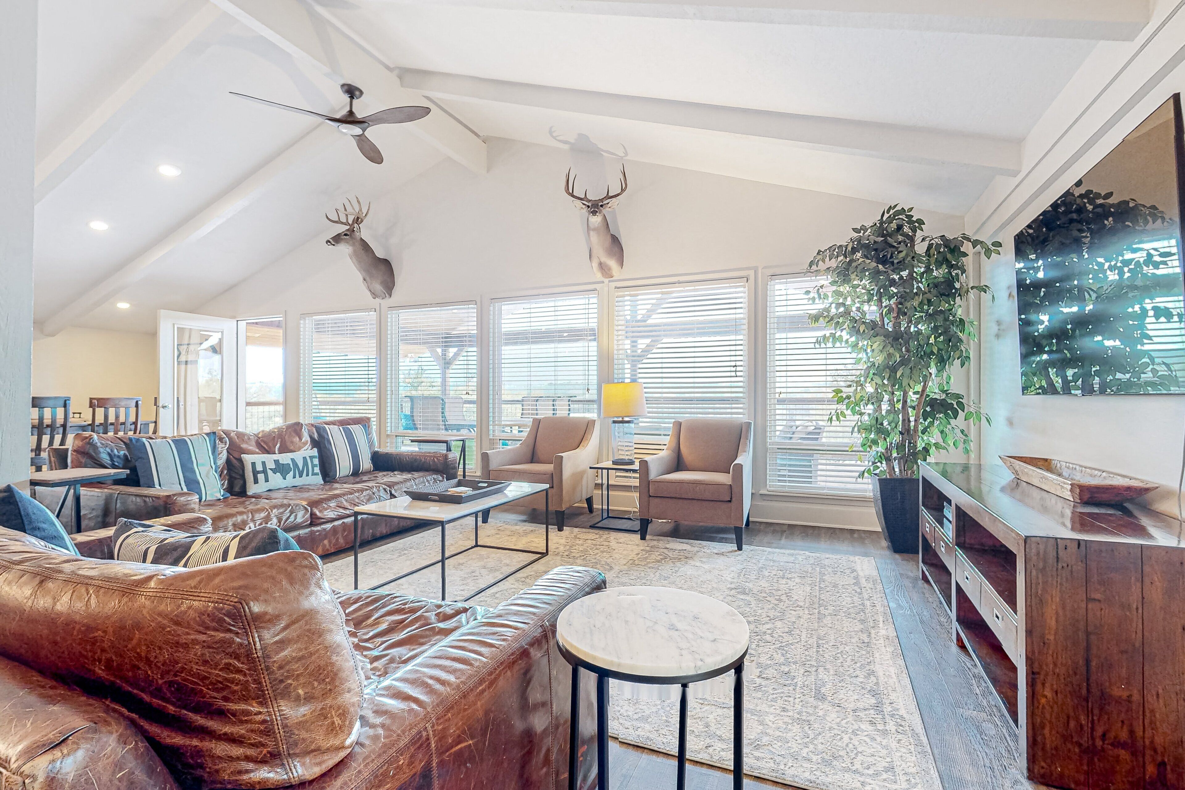 TV, table football, ping pong, books