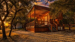 Een houten vakantiehuisje met een overdekte veranda, een trap en uitzicht op de omliggende bomen.