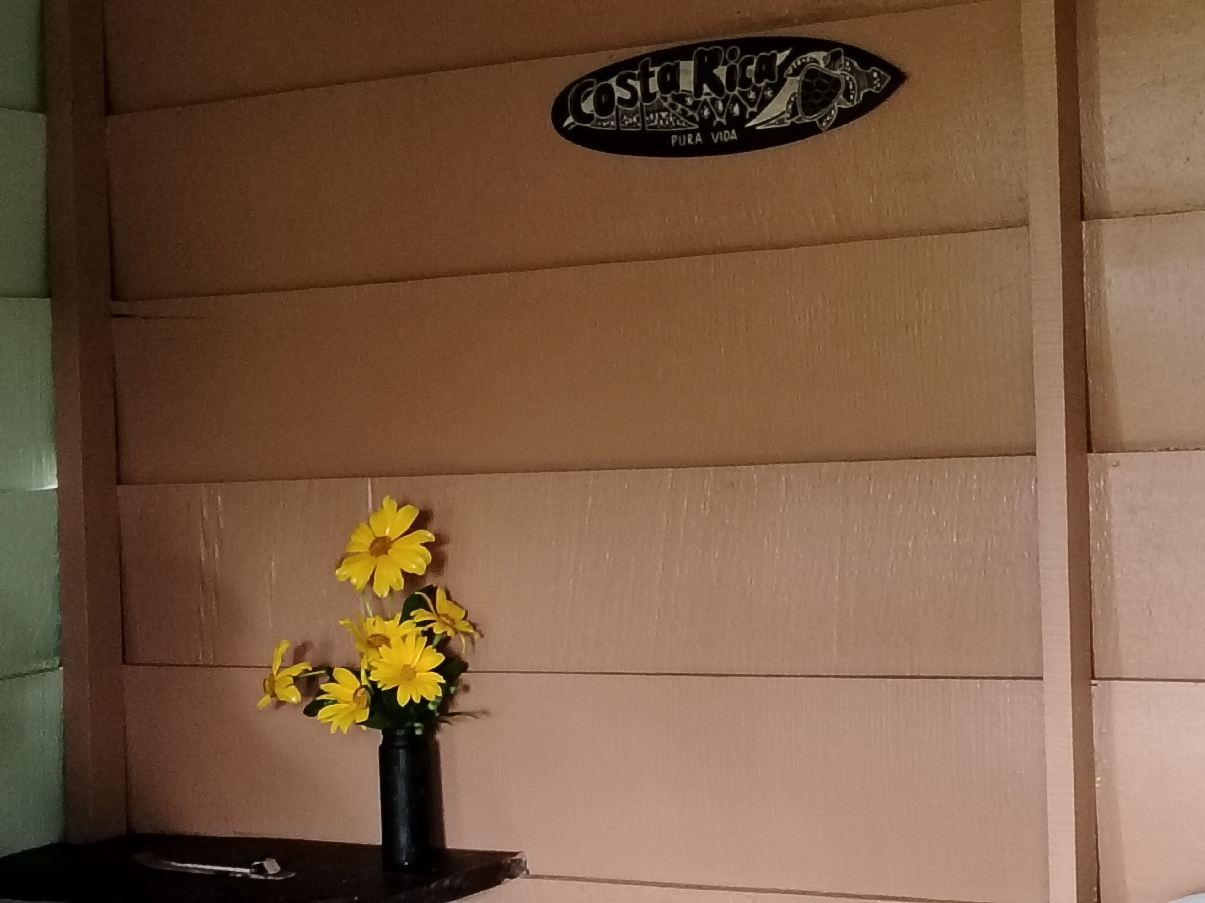 Una pared con un letrero que dice "Costa Rica Pura Vida" y un jarrón con flores amarillas sobre una estantería.