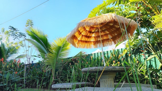 Un jardin avec un banc en pierre, un parasol en chaume et des plantes tropicales.