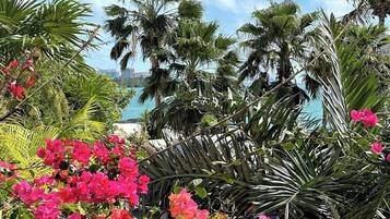 Terrain de l’hébergement