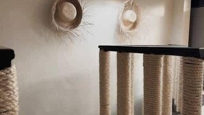 Ein modernes Interieur mit einer Katzenliege, einer Treppe und einer Wandleuchte.