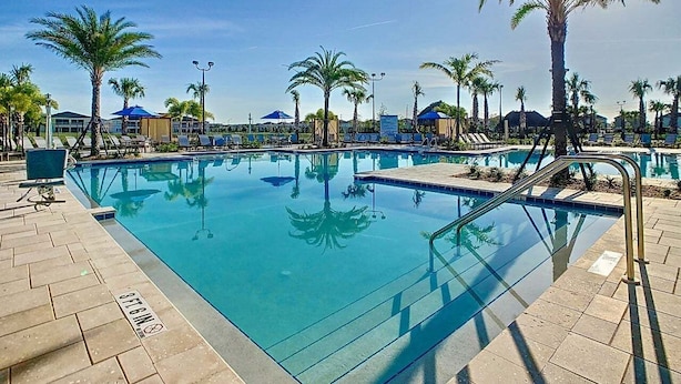 A swimming pool with clear blue water, surrounded by palm trees and lounge chairs.
