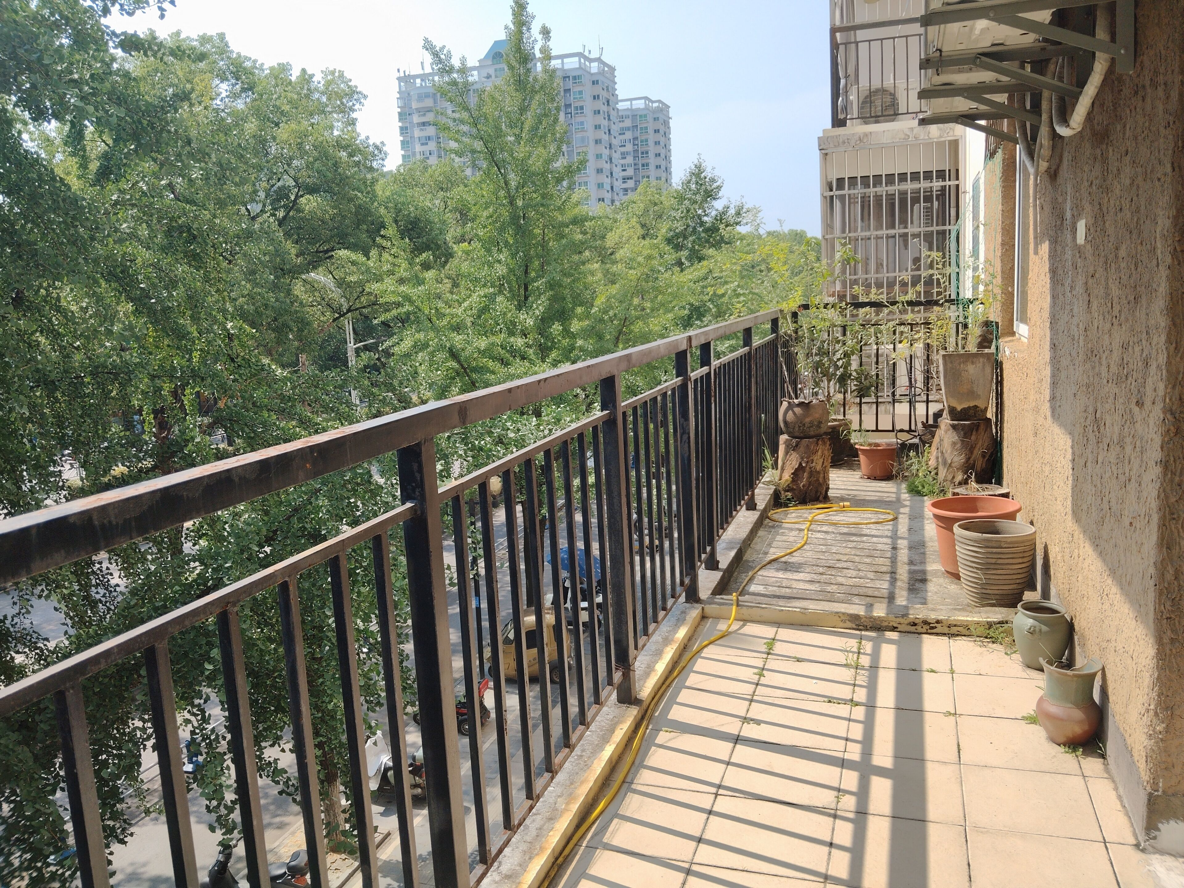 A balcony with a metal railing, potted plants, and a hose on the floor.
