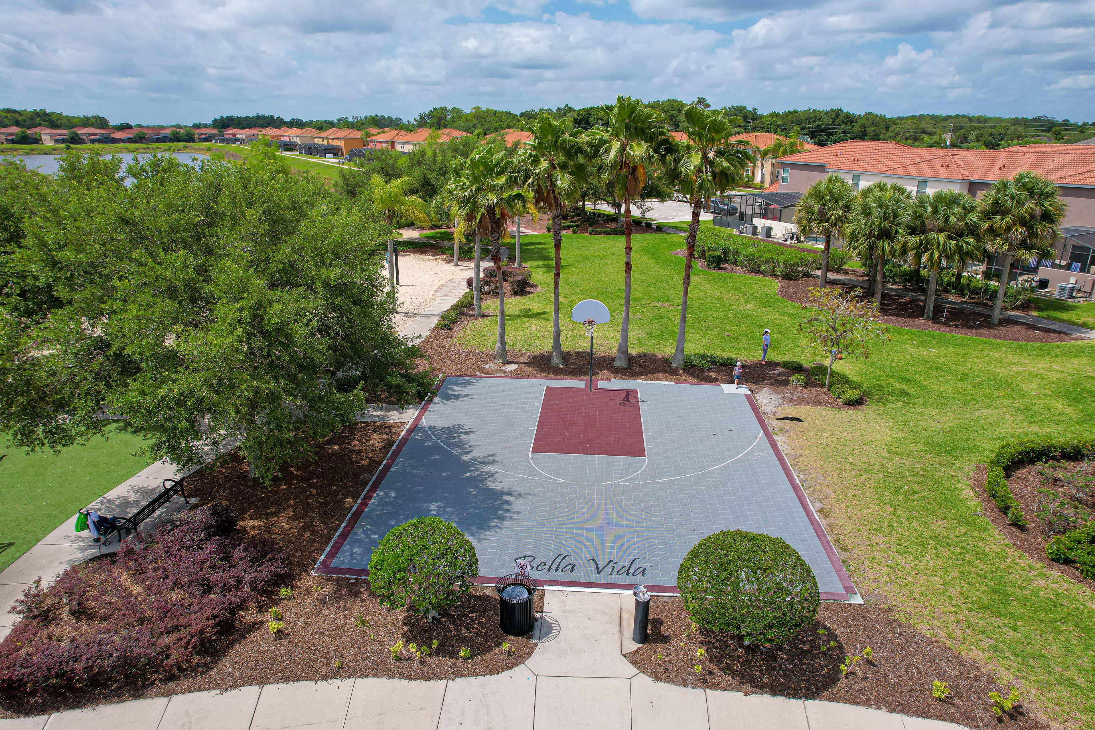 A basketball court with a solar panel, surrounded by palm trees and a water body.