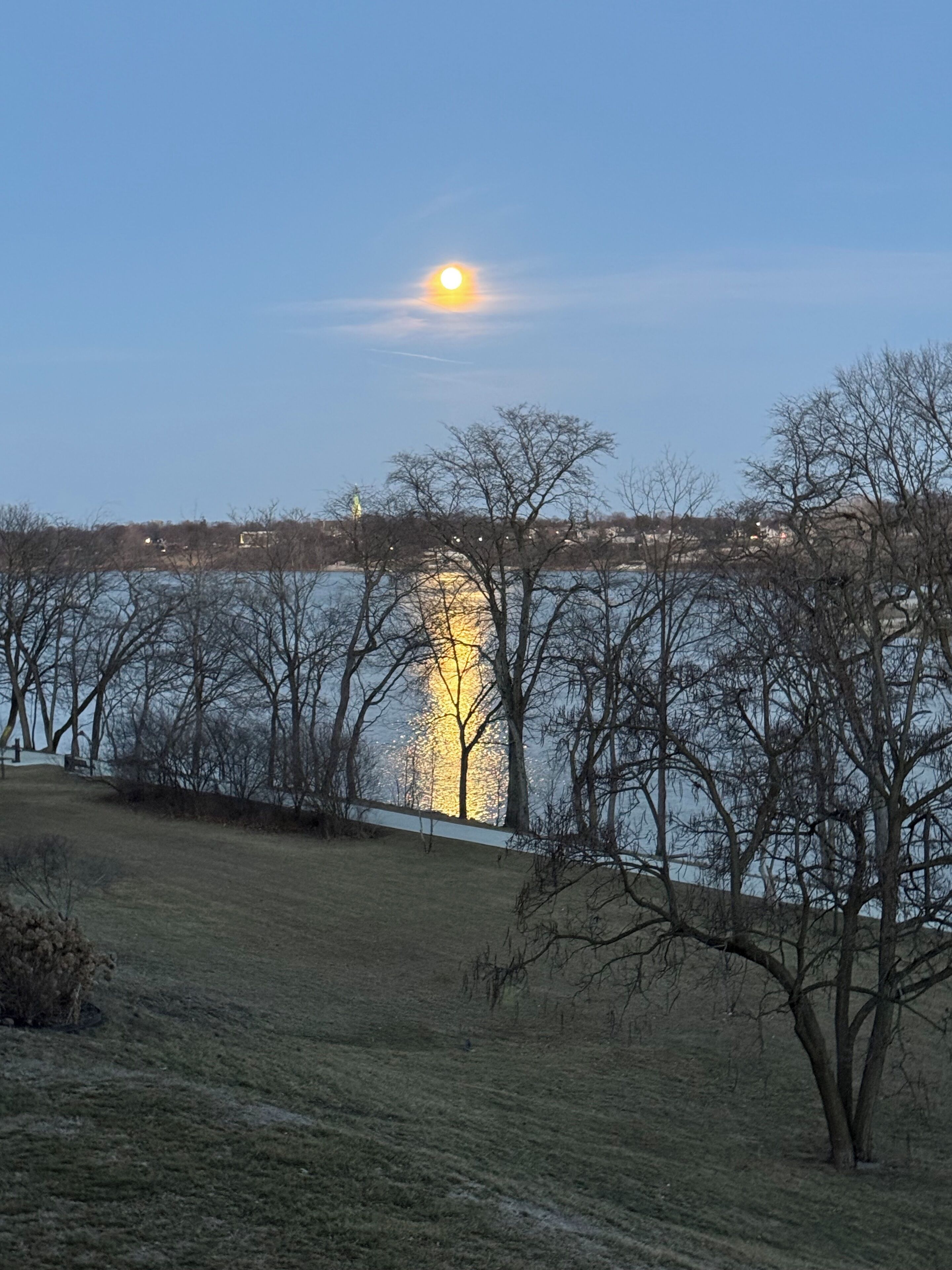 A park with a lake, trees, and a distant city skyline.