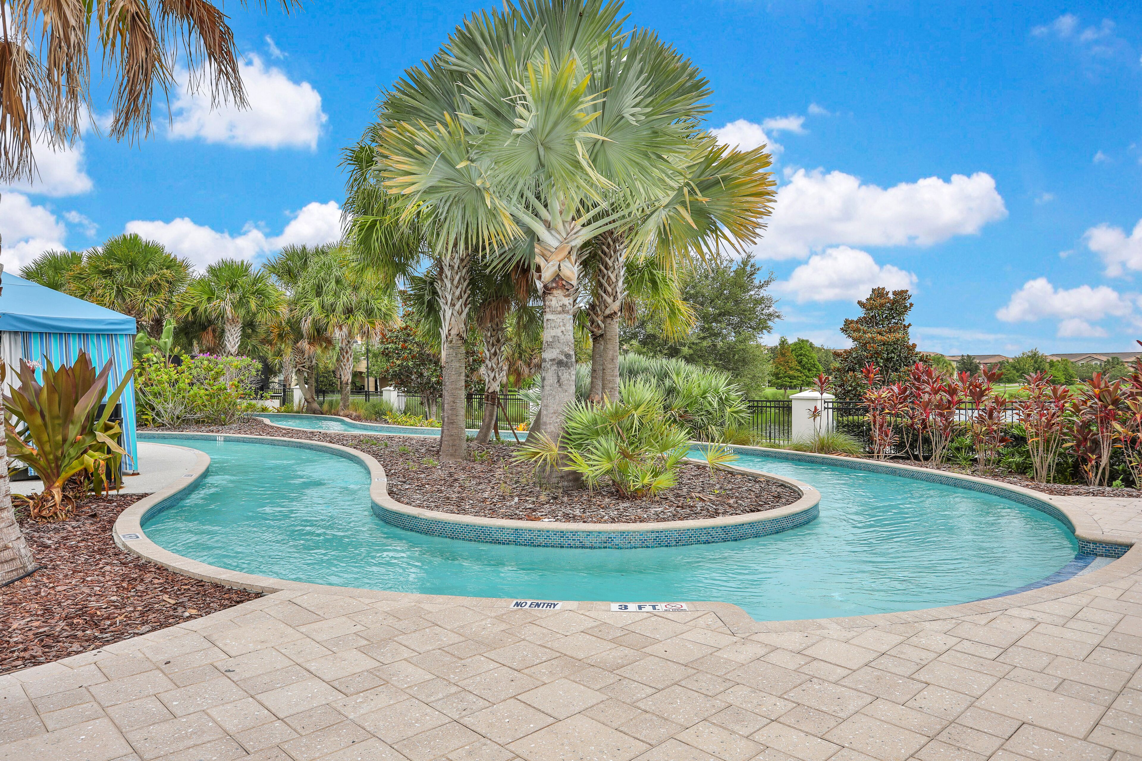 A swimming pool with a tiled edge, surrounded by palm trees and various plants.