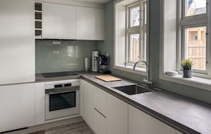 Fridge, oven, stovetop, dishwasher