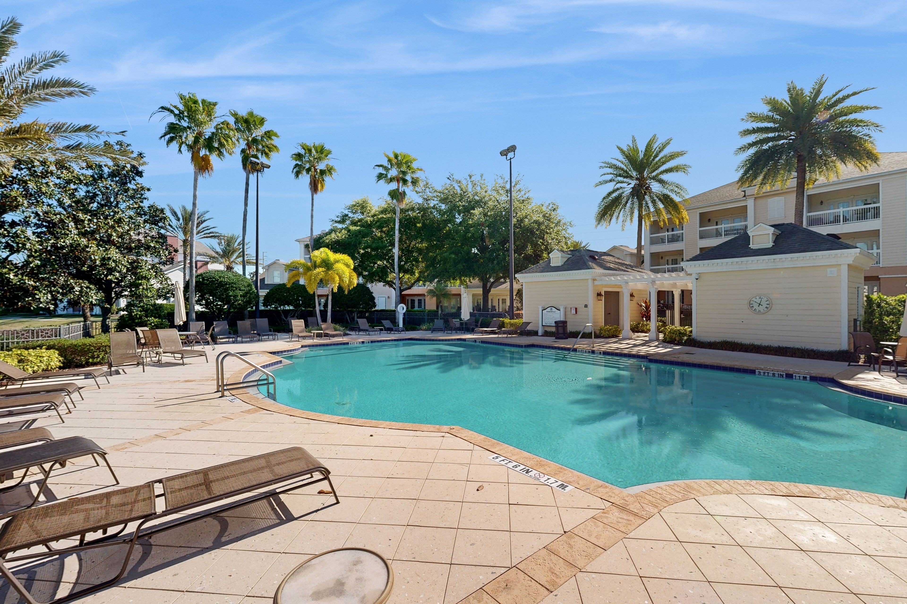 A swimming pool with lounge chairs and palm trees.