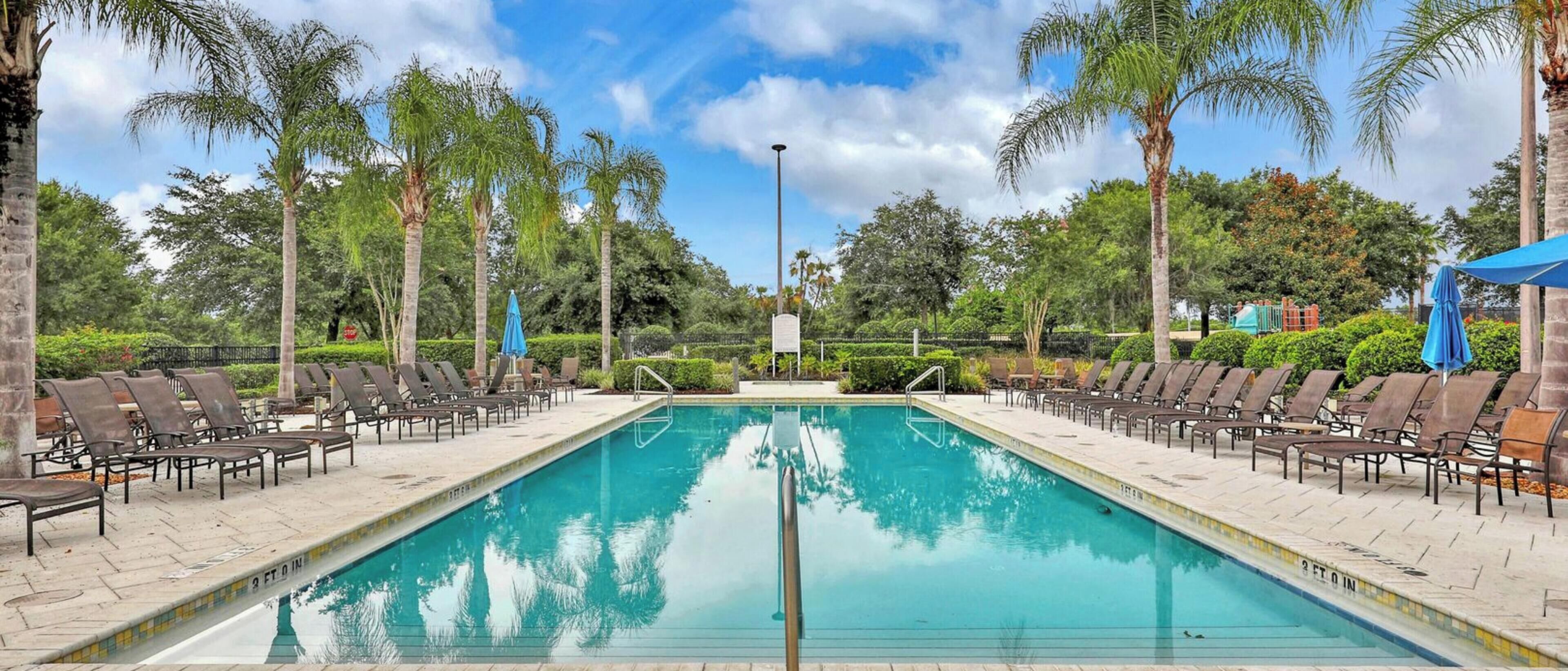 A rectangular pool with a clear blue water surface, surrounded by lounge chairs and palm trees.