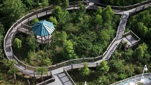 施設の敷地
