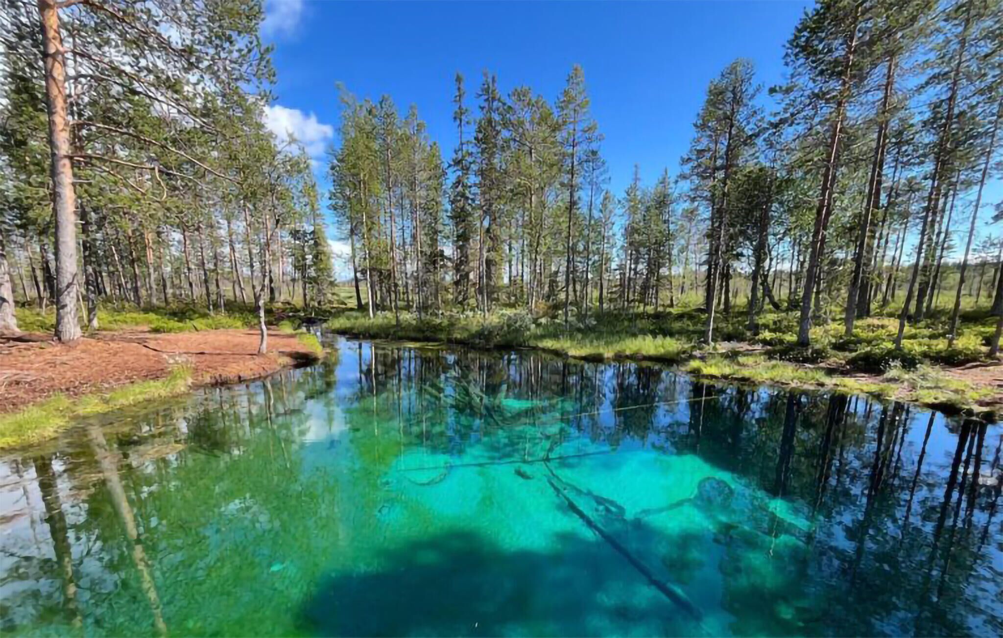 A clear, turquoise lake surrounded by dense forest and tall trees.