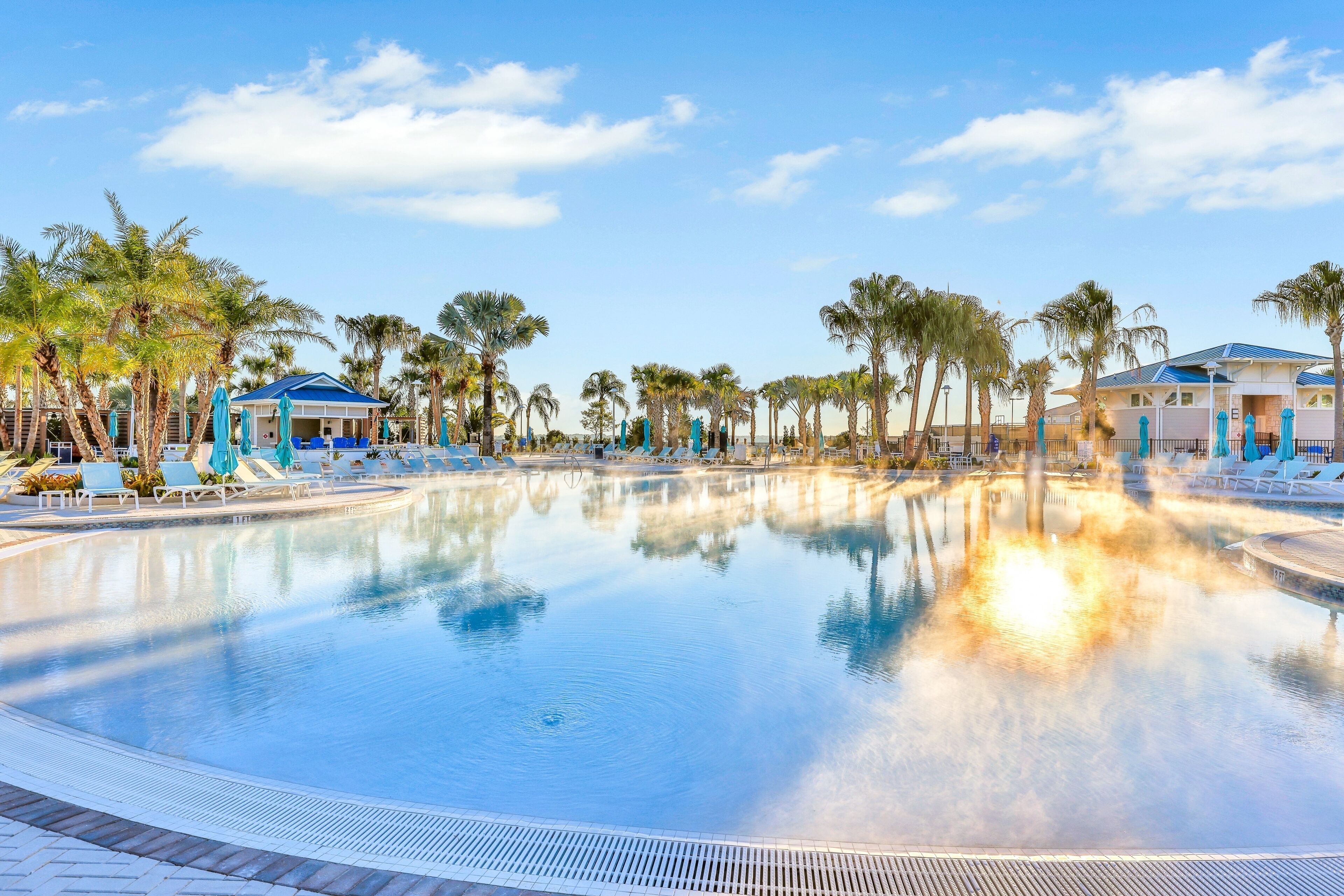 A pool area with lounge chairs and umbrellas, surrounded by palm trees and buildings with blue roofs.