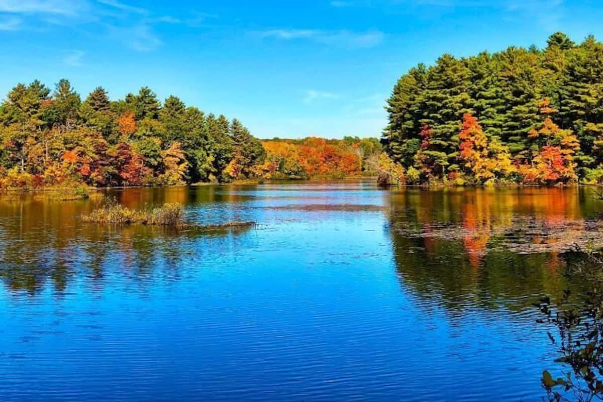 Ferienhaus, Terrasse, Gartenblick | Verschiedenes