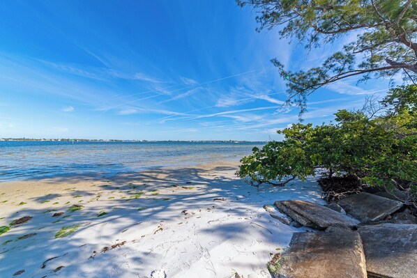 Beach - NEW- Sharkie's Getaway (Bradenton)