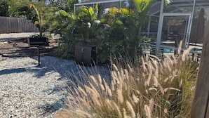 Un espace extérieur abrité, doté d’une piscine, et entouré de palmiers et de hautes herbes.