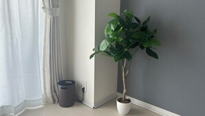 A corner room with a potted plant, a waste bin, and a power outlet on the wall. - TOWN ROYAL 601 (Sapporo)
