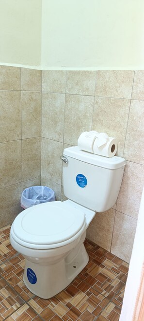 Toalhas de banho, sabonete, papel higiênico 