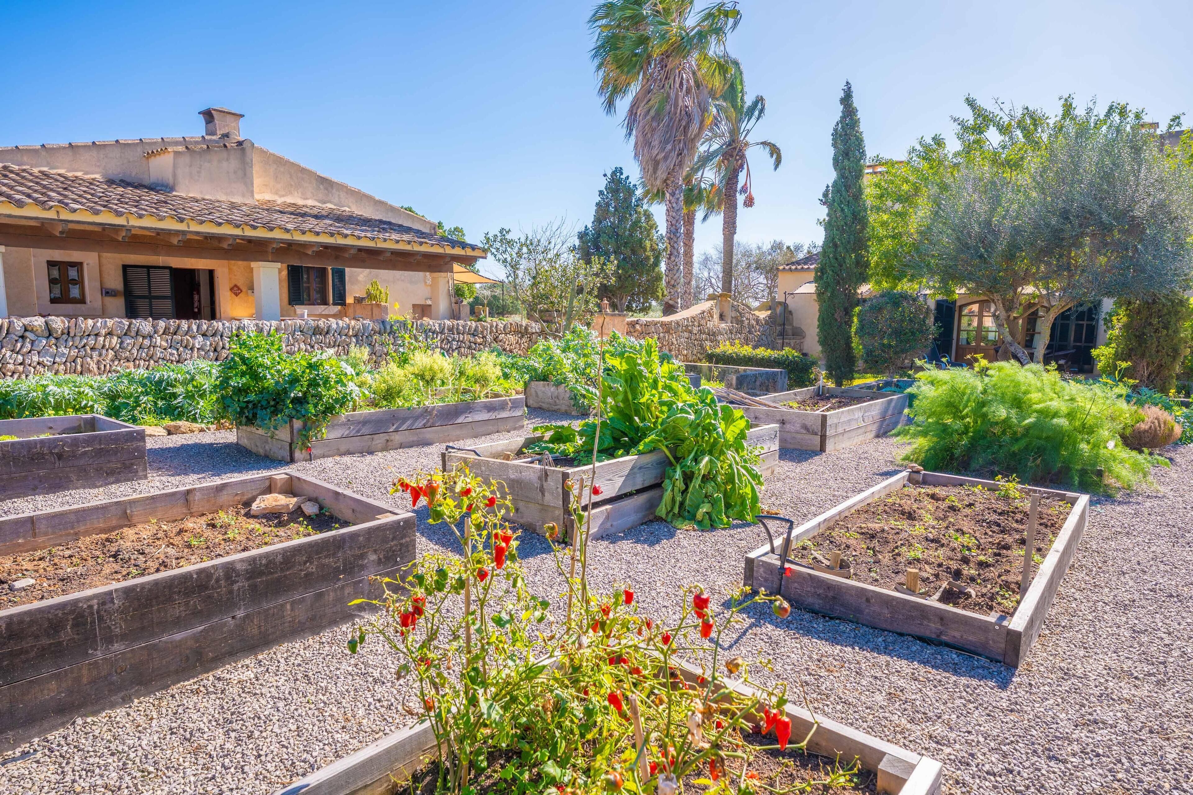 Áreas de la propiedad