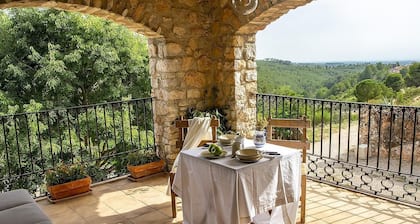 Isolated farmhouse surrounded, vineyards, olive trees and forest