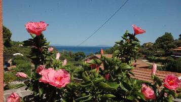 A garden with pink flowers and a view of the sea.