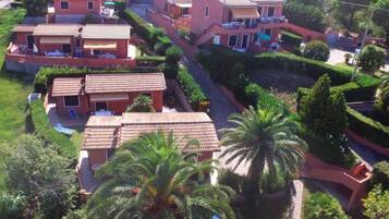 A residential area with multiple houses, each with a tiled roof and surrounded by lush greenery and palm trees.