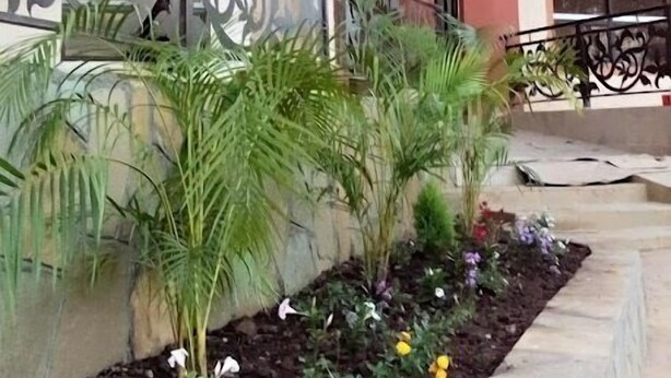 Un immeuble à plusieurs étages doté de balcons, d’une grille en métal décorative et d’un jardin aménagé avec diverses plantes et fleurs.