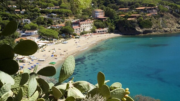 Uma cidade costeira com praia, edifícios e cactos em primeiro plano.