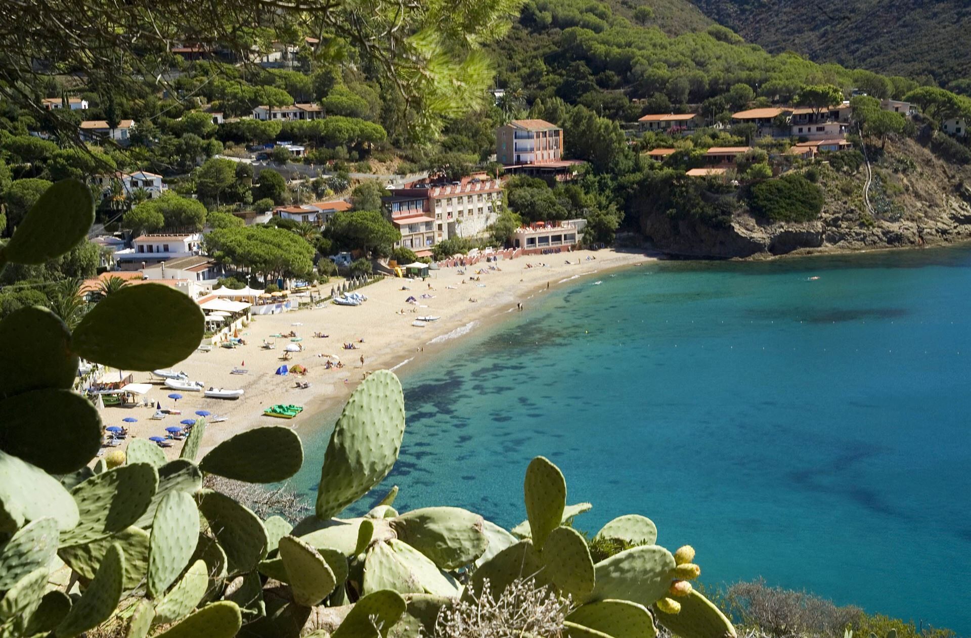 Perto da praia 