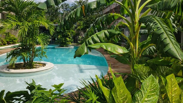 Une piscine entourée d’une végétation tropicale luxuriante et dotée d’une terrasse en bois.