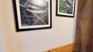 A kitchen counter with a kettle, milk cartons, and a tray of eggs. Two framed bird pictures are hung on the wall above.