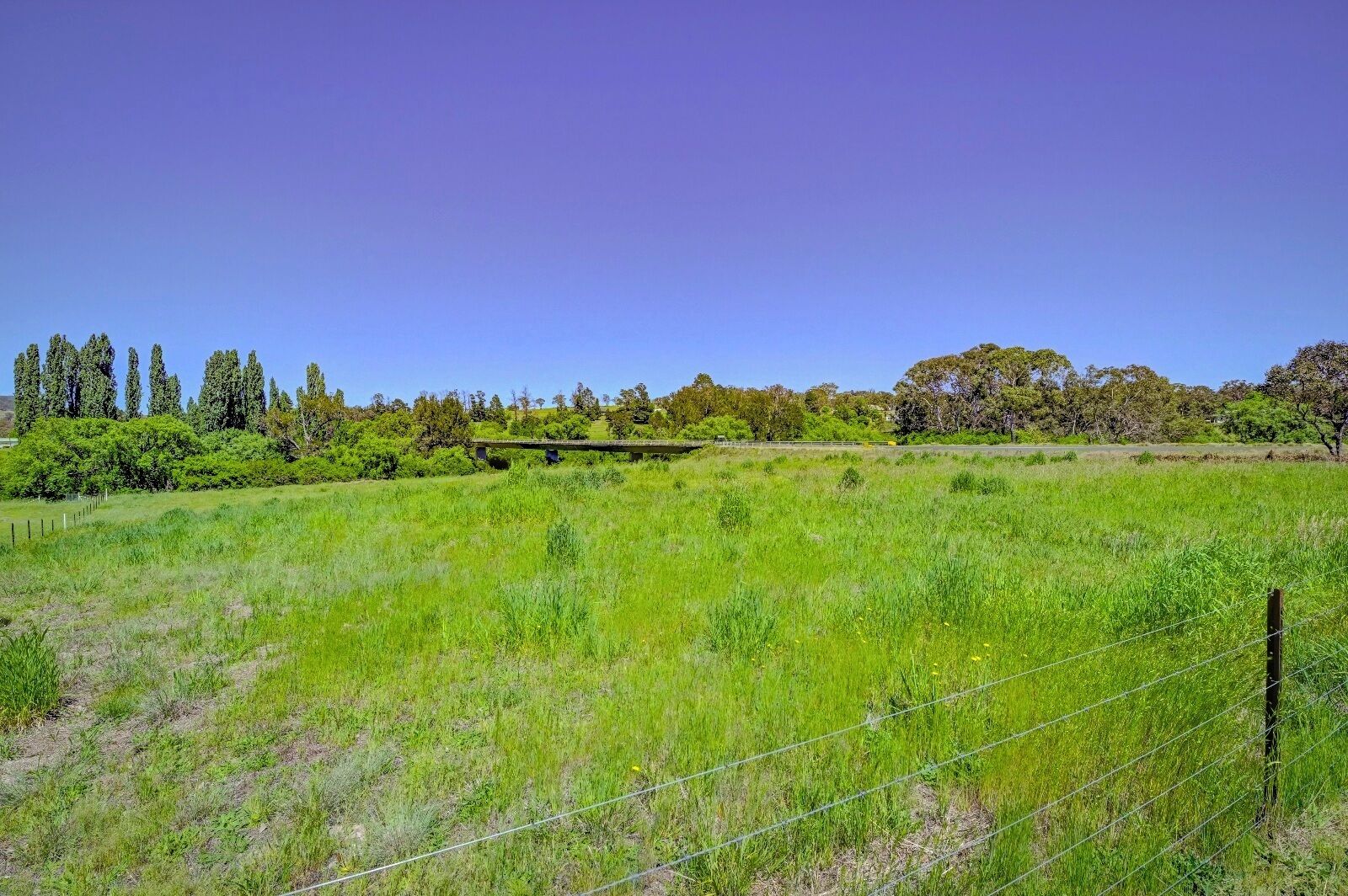 A grassy field with a wooden fence and trees in the background.