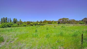 A grassy field with a wooden fence and trees in the background.
