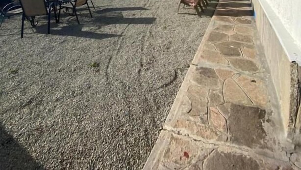 Eine Terrasse direkt am Strand mit Sitzgelegenheiten im Freien, ein hohes Gebäude im Hintergrund und freie Sicht auf das Meer.