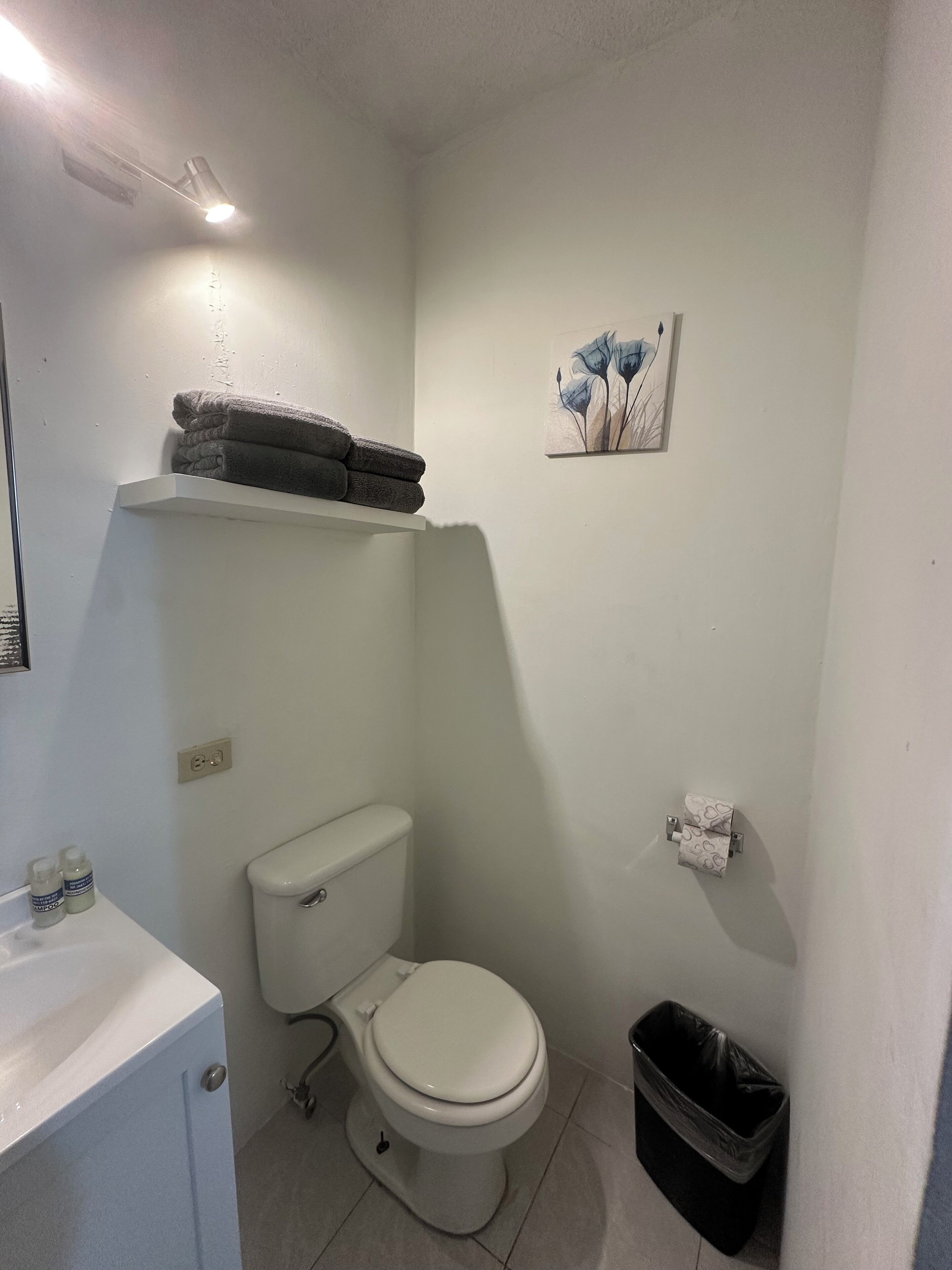 Chuveiro, toalhas de banho, sabonete, shampoo