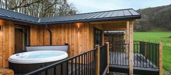 Cae Glas Lodge - UK50626