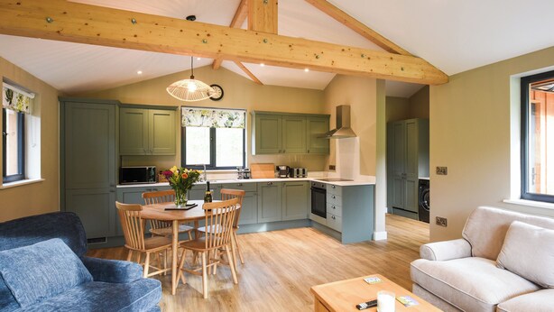 Amplia sala de estar con techo de madera, mesa de comedor con sillas, sofá y cocina con armarios verdes.