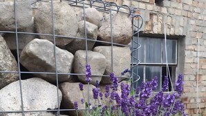 A rustic outdoor setting with a metal table, a jar of honey, and lavender plants.